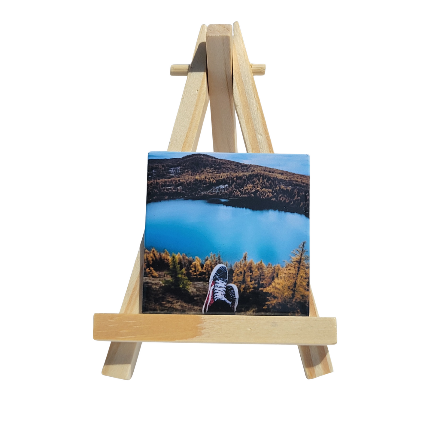 Set of 12 Photo Magnets – Bulk Personalized Gifts